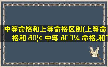 中等命格和上等命格区别(上等命格和 🦢 中等 🐼 命格,和下等命格)